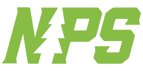 National Professional Services logo